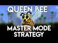 Best Queen Bee Master Mode Strategy - Terraria