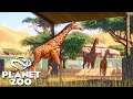 GREATEST ZOO BUILDING TYCOON EVER | Planet Zoo Tycoon Building Gameplay