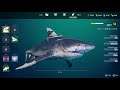 Maneater - Gameplay #2 - Adult shark (PC)