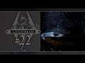 Pelataan Skyrim (2) - Livestream - Osa 22 [Valheiden Verkko]
