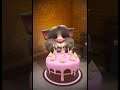 Talking Tom Cat New Video Best Funny Android GamePlay #12946