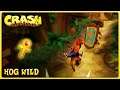 Crash Bandicoot (PS4) - TTG #1 - Hog Wild (Gold Relic Attempts)