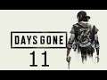 Directo De Days Gone| Gameplay , Episodio #11 |Ps4 Pro 1080p|