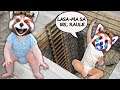 FRATELE GEAMAN MALEFIC L-A RAPIT PE BEBE NOCIV! Unde L-a Ascuns?!