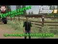 đ FS19 Fenton Forest 4x Map đŸ 10. Adding Our First Chickens & Sheep đ