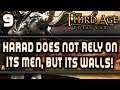Haradrim Campaign - DaC v3 - Third Age: Total War #9