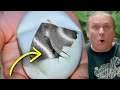 HATCHED ANOTHER SUPER LORI COMBO BALL PYTHON!! | BRIAN BARCZYK