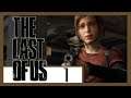 Hoshi Streams | The Last Of Us Remastered [1/4]