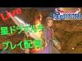 【星ドラ】魔王級ボルトネロ星騎士討伐!【Live配信切り抜き】
