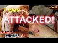 So, I was attacked by a dog... || Shep Rambles s04e16 || VIEWER DISCRETION ADVISED!