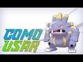 COMO USAR EXPLOUD! | Pokémon Sword & Shield Competitivo