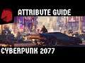 Cyberpunk 2077 - Attributes & Skill Guide