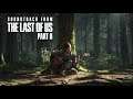 Gustavo Santaolalla- (The Last Of Us Part II Theme song - Untitled )