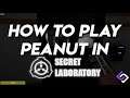 How to Play Peanut (SCP-173) in SCP: Secret Laboratory