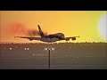 Lufthansa A380 - Bird Strike at Take Off in Frankfurt