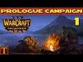 Warcraft 3 Reforged - HARD Prologue Campaign part 1 - Chasing Visions