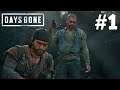 We're Getting CRAAAZZYYYY !! : Days Gone Walkthrough w/ Commentary : Part 1 (PS4)