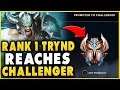 #1 TRYNDAMERE WORLD 71% WIN-RATE IN CHALLENGER (HIGHEST WIN-RATE WORLD) - League of Legends