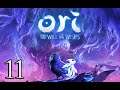 11 - Ori and the will of the wisps, LE TERRITOIRE DE BAUR