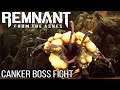 REMNANT FROM THE ASHES Canker Boss Fight