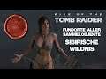 Rise of the Tomb Raider - Alle Sammelobjekte - 02 Sibirische Wildnis