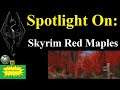Skyrim (mods) - Spotlight On: Skyrim Red Maples