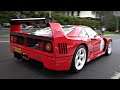 Street-Legal Ferrari F40 LM with Straight Pipes | Start Up, Revs, Power Launch & More!