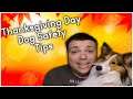 Thanksgiving Day Dog Safety Tips - What Can Your Puppy Eat? - MumblesVideos Pupdate  #37