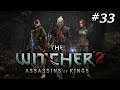 The Witcher 2 #33 Das Haustier //Let's Play [QHD][GER]