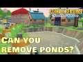 What to do with ponds in Story of Seasons Pioneers of Olive Town