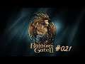Baldur's Gate II #021 - Zwischen Spinnen und Untote [German/Deutsch Lets Play]