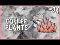 🐷 Collecting Coffee Plants in the Volcano | Don't Starve Shipwrecked/Hamlet Gameplay | Part 34