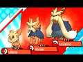 STOUTLAND Evolution (LEVEL 32) - Pokemon Sun & Moon