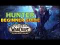Hunter Beginner Guide | Overview & Builds for ALL Specs (WoW Shadowlands)