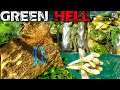 Jungle Secrets | Green Hell Gameplay | Spirits of Amazonia Part 14