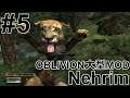 【Nehrim Steam版 】#5 今度はOblivionの大型MODをプレイしよう【 ゲーム実況】