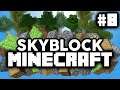 BORD DUCPLICEREN IN SYMMETRIE! - Minecraft Skyblock #8 (Nederlands)