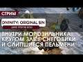 Divinity: Original Sin! Кооператив. Зима, холода, всё как будто изо льда#10