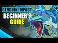 Genshin Impact Beginner's Guide in 4 Minutes - The Basics, Tips, Tricks