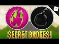 How to get the "BOMB" AND "DRAGON FRUIT" BADGES in 2 PLAYER EVOLUTION TYCOON | Roblox