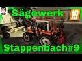 LS19 Stappenbach Story Teil 9 Sägewerk und Schweinestall
