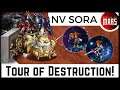💥NEO VISION SORA TOUR OF DESTRUCTION 💥 Kinda insane NGL... | FFBE