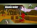 Pixark - Orange Berry