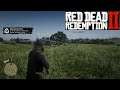 Red Dead Redemption II PC - Weapons Expert 4: Kill 10 enemies with a shotgun using crafted ammo