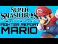 Smash Ultimate Fighter Report #1: Mario!
