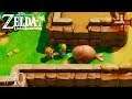 The Legend Of Zelda: Link's Awakening #10 A Morsa Adormecida