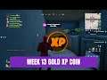 Week 13 Gold Xp Coin Location | Fortnite