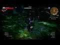 Witcher 3: Mourntart, The Grave Hag Boss Fight