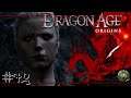 DE CHILL EN EL CAMPAMENTO | Dragon Age Origins #72