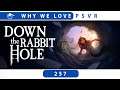 Down The Rabbit Hole | PSVR Review Discussion